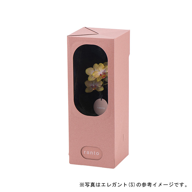 キュート(S) サブ画像5