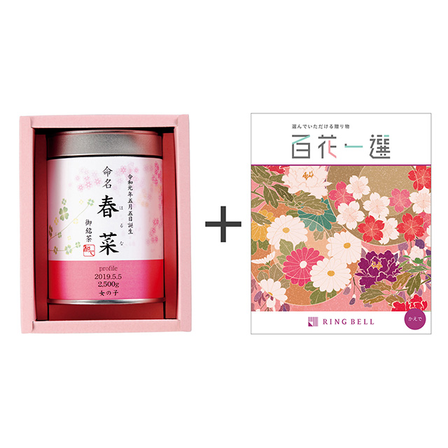 名入れ日本茶とカタログ式ギフト 百花一選 楓・かえで メイン画像