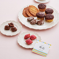チョコトリップ 魅惑のスイーツ詰合せ イブニングトリップ