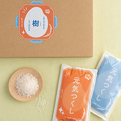 越後ファーム 名入れ米 5袋入り 元気つくし